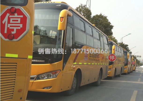 Sticker pour vélos - Ref 2285274 Image 5