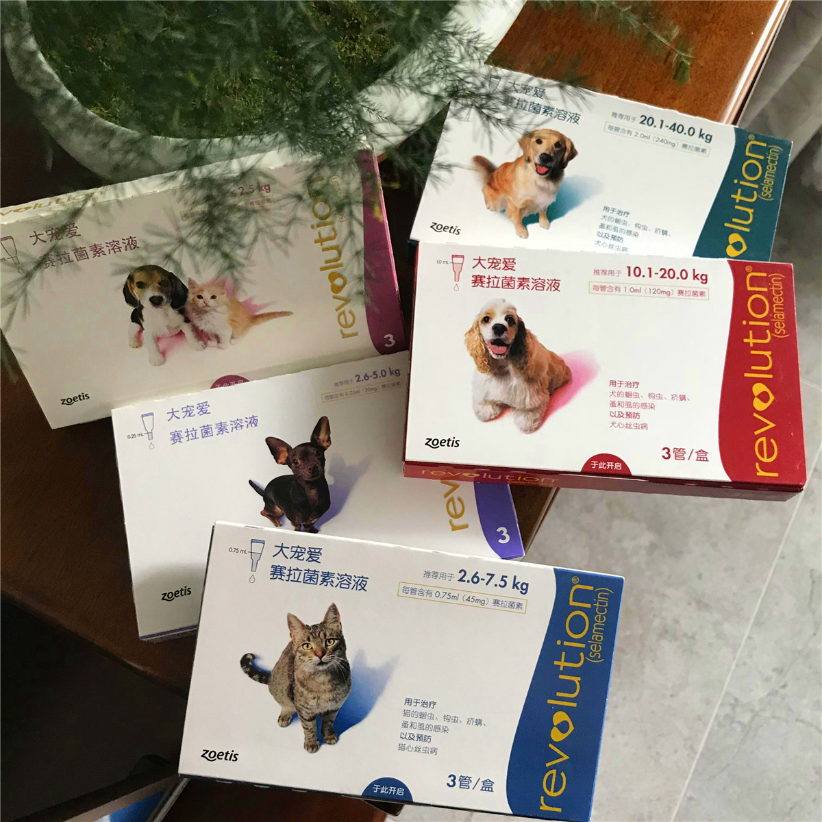 Thú cưng lớn yêu thích tẩy giun trong ống nghiệm chó con chó con Teddy chó mèo in vitro tẩy giun trong hộp - Cat / Dog Medical Supplies Dụng cụ thú y Hà Nội