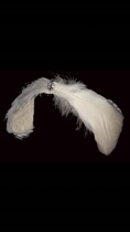 Ballet tiara feather headdress