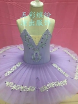 Professional ballet skirt adult suspender gauze skirt TUTU skirt autumn winter practice clothes White Swan Lake costume