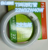 Foshan lighting t9 ring tube 22W32W40W three primary color fluorescent thick tube four needle round tube