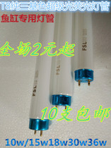 Foshan lighting three primary color T8 tube 10W15W fish tank tube straight tube warehouse large discount