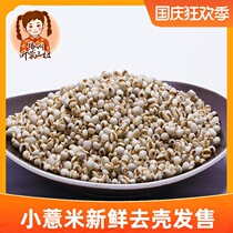 Shanmei new small coix seed high quality selection of small seed barley rice grain porridge full 500g