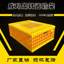  Plastic chicken cage plastic transport cage duck cage goose cage chicken basket chicken plastic cage chicken cage turnover box chicken box chicken cage