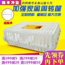  Plastic chicken cage transport cage Chicken duck goose cage Live bird turnover cage into chicken cage turnover basket Chicken cage household chicken basket