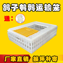  Pigeon cage Transport cage turnover box Quail cage Household pigeon cage turnover box Pigeon cage quail cage pigeon box