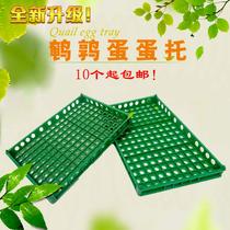  Transportation Quail egg tray Plastic quail egg tray Quail egg box Egg box incubation tray Quail egg tray Turnover egg tray