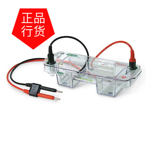 伯乐 Mini-Sub? Cell GT Cell水平电泳槽