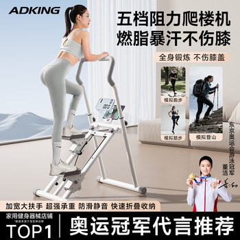 2025 New Model Stair Climber Fitness Equipment for Home Use, Multifunctional Stepper, Stationary Step Climbing Machine
