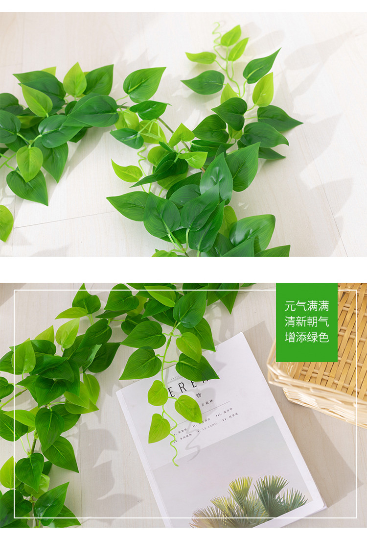 Mô phỏng hoa giả lá xanh lá cây nhựa nhựa mây sưởi ấm điều hòa không khí ống trang trí tắc ống nước trong nhà cây xanh - Hoa nhân tạo / Cây / Trái cây cây bàng singapore giả
