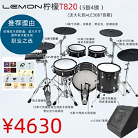 Электронные барабаны, колонки, набор, T820, полный комплект