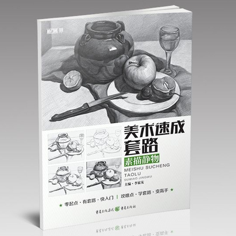 Stepping stone Art crash routine Sketch still life Li Jiayou sketch Basic painting introduction Copy template genuine book
