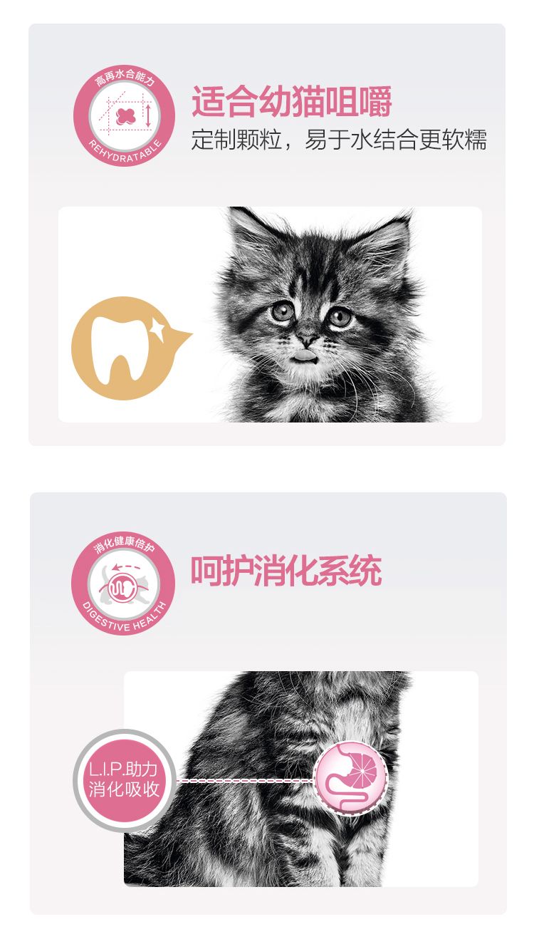 Royal Cat Food Bánh sữa mèo BK34 / Royal Cat House Hộp quà tặng 400g * 10 Túi 28 Tỉnh - Cat Staples whiskas cho mèo con