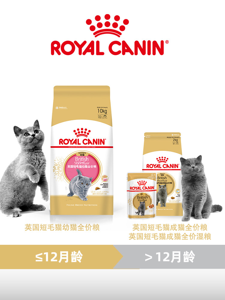 [USD 251.72] Royal Young Short BS34 Adult Cat Food Young Short BSK38 Kitten Food 10kg UK Short