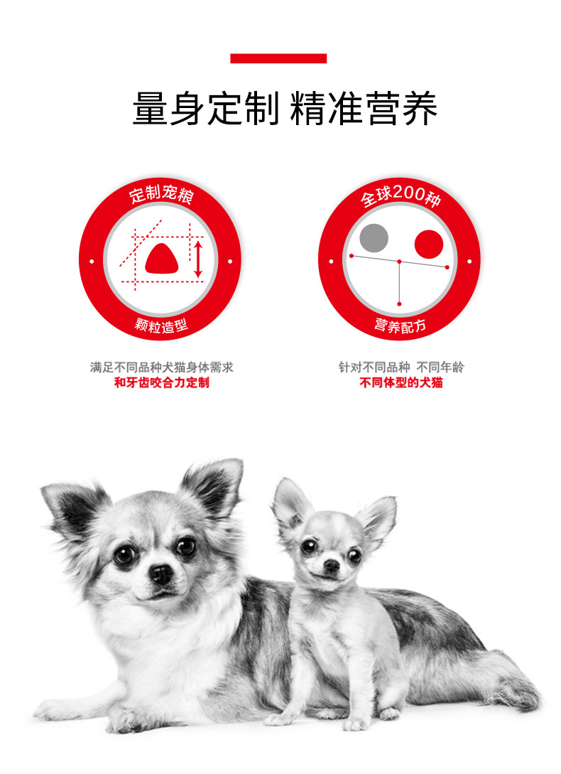 Royal Canin Royal Dog Thực phẩm Chăm sóc Trọng lượng Chó nhỏ Thức ăn cho chó trưởng thành MIL30 / 2kg * 2 - Chó Staples thức ăn cho thú cưng