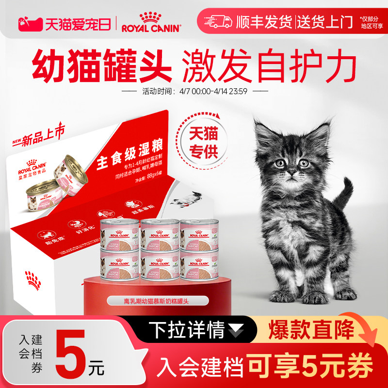 ロイヤルカナン輸入キャットフード、子猫用ムースミルクケーキ、195g、栄養価の高い主食グレードのウェットキャットフード。