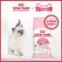Royal Canin Royal cho con bú mèo con mèo nhân giống mèo Bánh sữa mèo BK34 2KG Thức ăn chủ yếu cho mèo hạt mèo