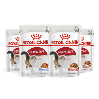 Adult cat wet food staple food grade wet food pureed meat cubes