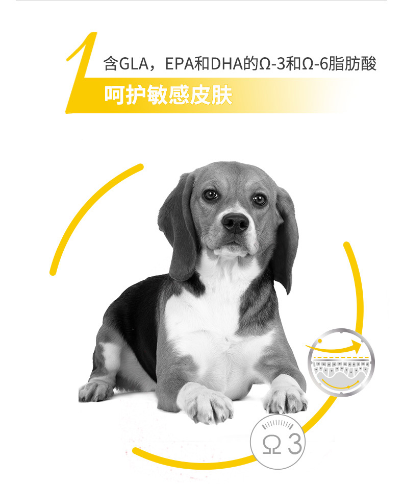 Royal Canin Royal Dog Thực phẩm Chăm sóc da Chó nhỏ Chó trưởng thành Thực phẩm MID26 / 2KG - Chó Staples thức ăn cho chó con