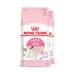 Royal Cat Food Lactating mèo con / nhân giống bánh sữa mèo BK34 / 2kg * 2 túi Bánh sữa dinh dưỡng - Cat Staples Cat Staples