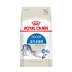 Royal Canin Royal Cat Food Thức ăn cho mèo trong nhà I27 10KG Thức ăn cho mèo chính 28 tỉnh