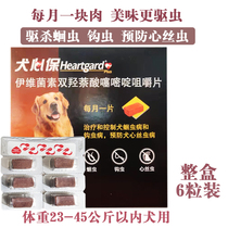 Insects large dogs pets dogs anti-heart insects anti-heart hookworm roundworms roundworms the whole box of 6