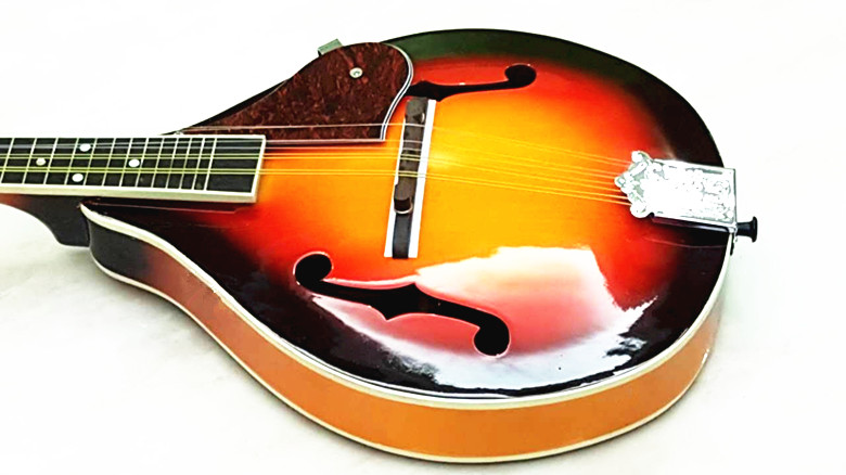 Cửa hàng nhạc cụ rắn Mandolin Mandolin / Guitar Mandolin / Hoa Mandolin / Đặc biệt - Nhạc cụ dân tộc sáo trúc mão mèo
