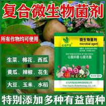 (free of charge RMBone) Yellow withered raw powder composite microbial inoculum agricultural new fungicide foliage fattening
