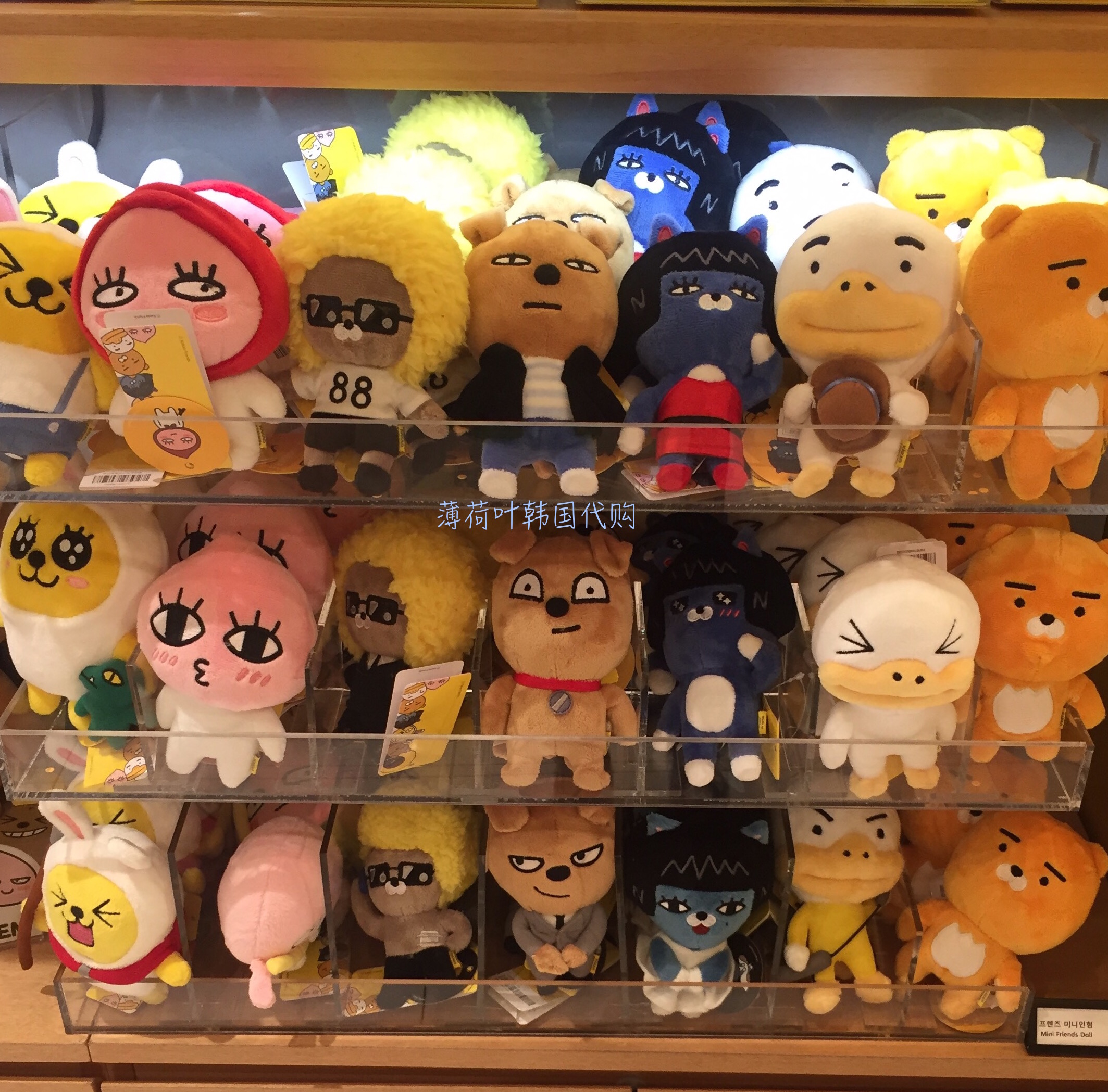 line friends ryan plush