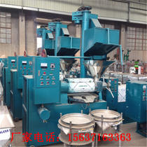 Automatic screw oil press Commercial large tea seed soybean rapeseed peanut oil press factory direct sales