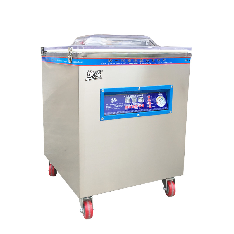 Edge Sheng DZ-400 Vacuum Packing Machine Dry Wet Cooked Food Vacuum Machine Vacuuming Sealing Machine For Commercial Home