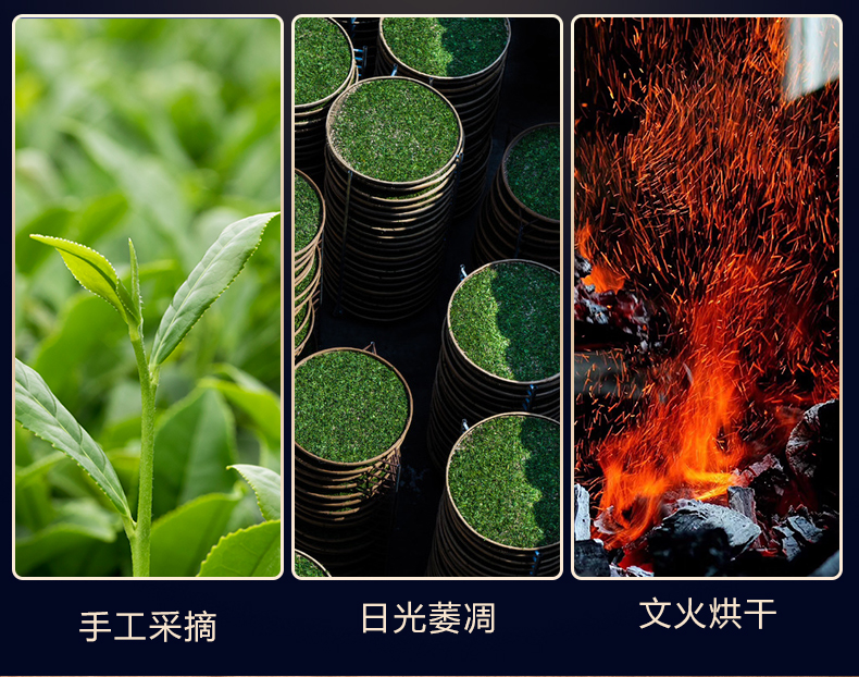 正山小种_08.jpg