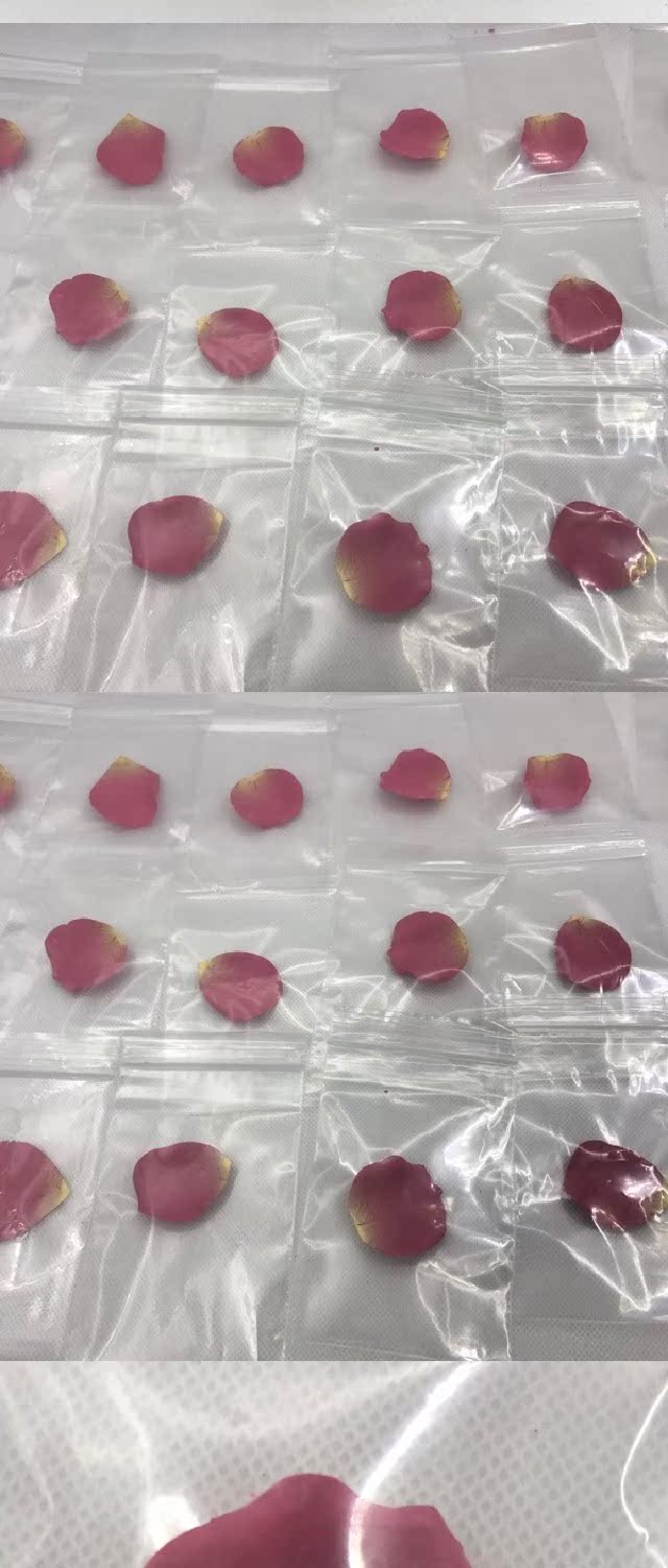 Mẫu thử cánh hoa Laduli laduree của Nhật Bản mẫu thử một cánh hoa 02 màu hồng - Blush / Cochineal bảng má hồng