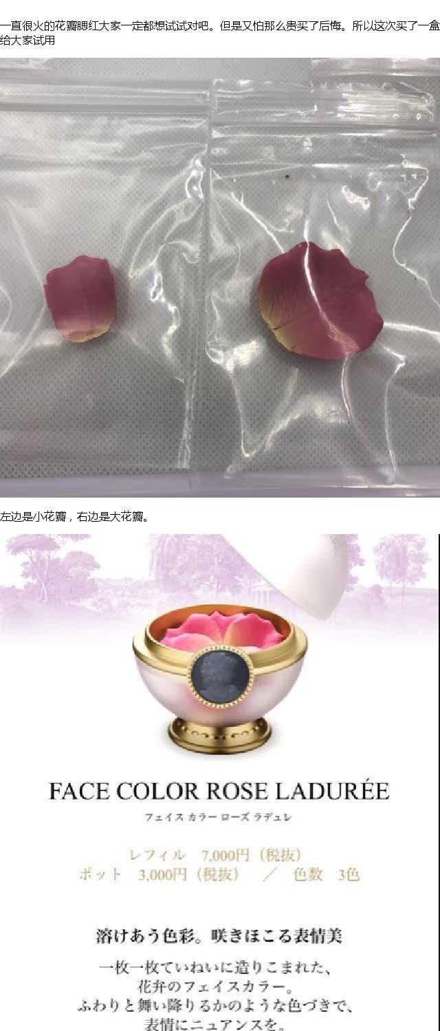 Mẫu thử cánh hoa Laduli laduree của Nhật Bản mẫu thử một cánh hoa 02 màu hồng - Blush / Cochineal bảng má hồng