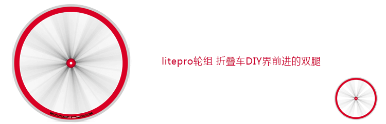 Roues de vélo LITEPRO 20 pouces - Ref 2371836 Image 4