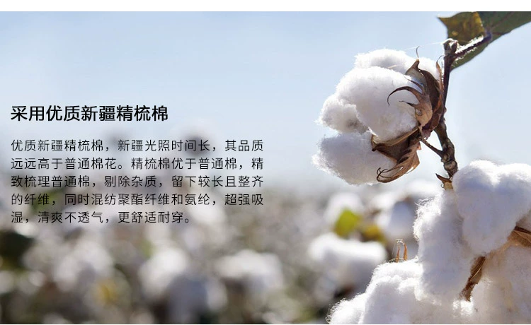 Mùa đông dày nam vớ cotton cũ terry cotton mùa đông cộng với nhung ấm khăn đen vớ cotton ống