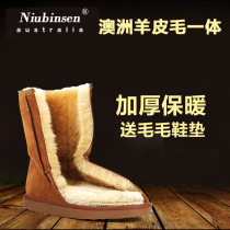 Winter tube thickened sheepskin fur integrated snow boots womens short boots non-slip waterproof leather short tube snow cotton shoes women