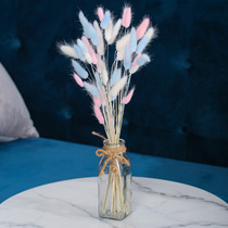 Rabbit tail grass dry bouquet air-dried natural diy material bedroom decoration room Arrangement Vase ornaments living room flower arrangement