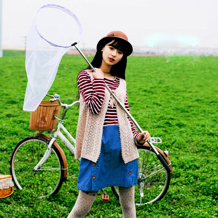 Super long telescopic insect net Stainless steel fishing net Folding insect net Dragonfly butterfly Zhizhi net pocket fishing net