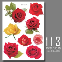 113 модели/розы