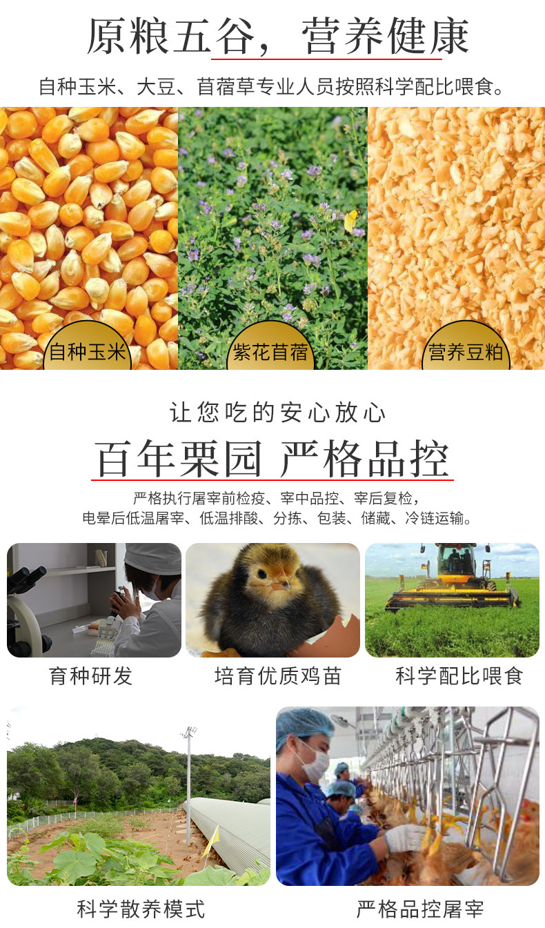 首农旗下 百年栗园 中华宫廷黄鸡 北京油鸡 2斤*2只 图7