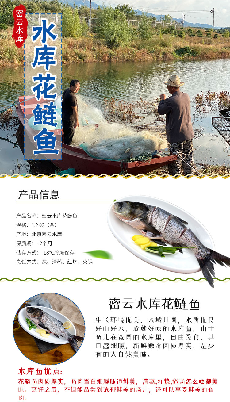 首农旗下 百年栗园 北京密云水库花鲢鱼 1.2kg/条 图2