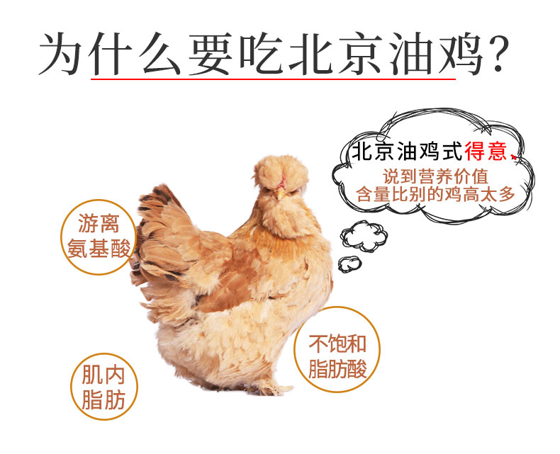 百年栗园 北京油鸡 散养老母鸡 1kg 图3