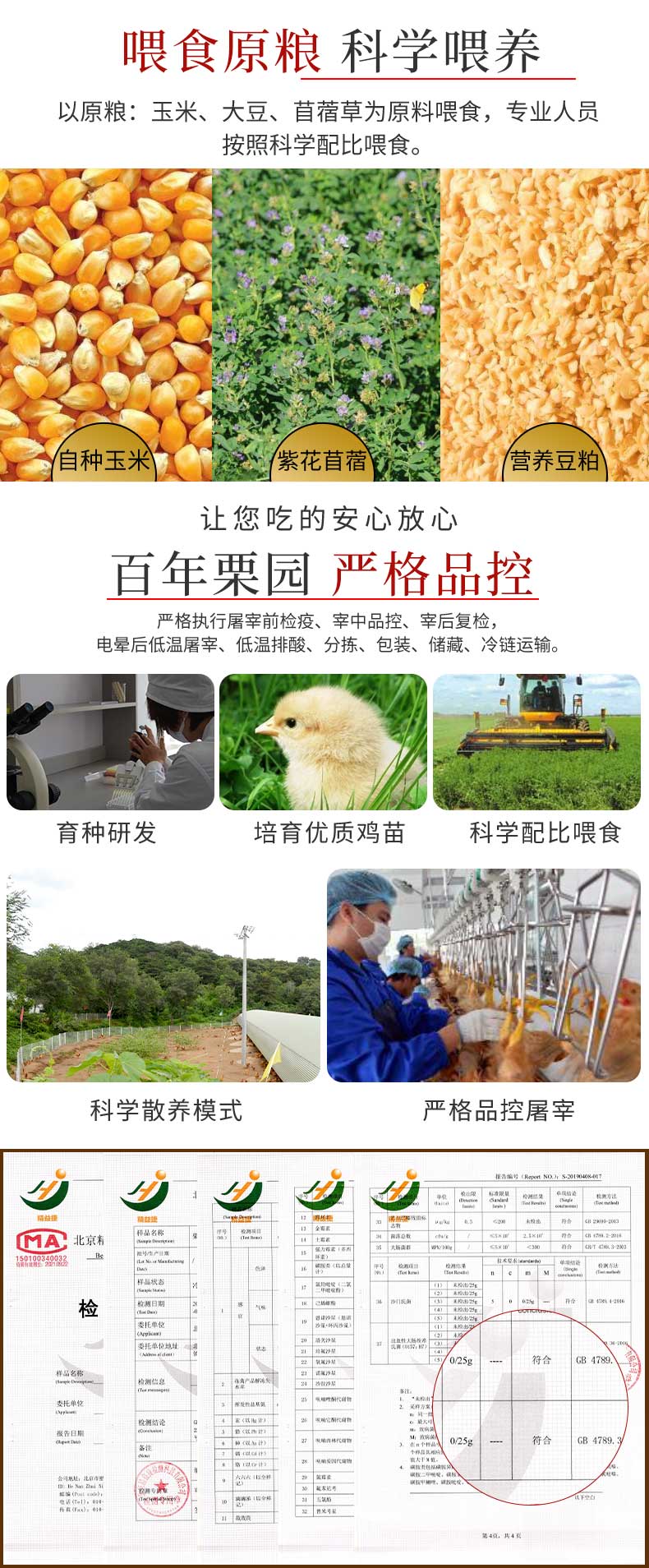 首农旗下 百年栗园 500天林地散养老母鸡 800g*3只 图5