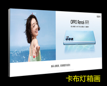OPPO5G Reno6 mobile phone light film light cloth light box cloth backplane painting UV soft film card cloth light box screen