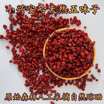 New wild Xiaoxinganling natural schisandra fresh authentic North five flavor oil seed fruit Chinese herbal medicine bubble wine 400g