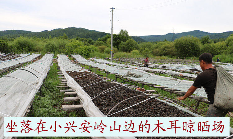 20160725165056_img_0716_phopen_dex_dex .jpg