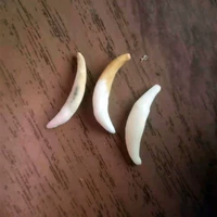 Зубы лисы 9,9 юаней 2 шт.