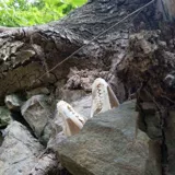 Образец, игрушка, декор для аквариума, скелет, креативный аксессуар, домашний декор, DIY