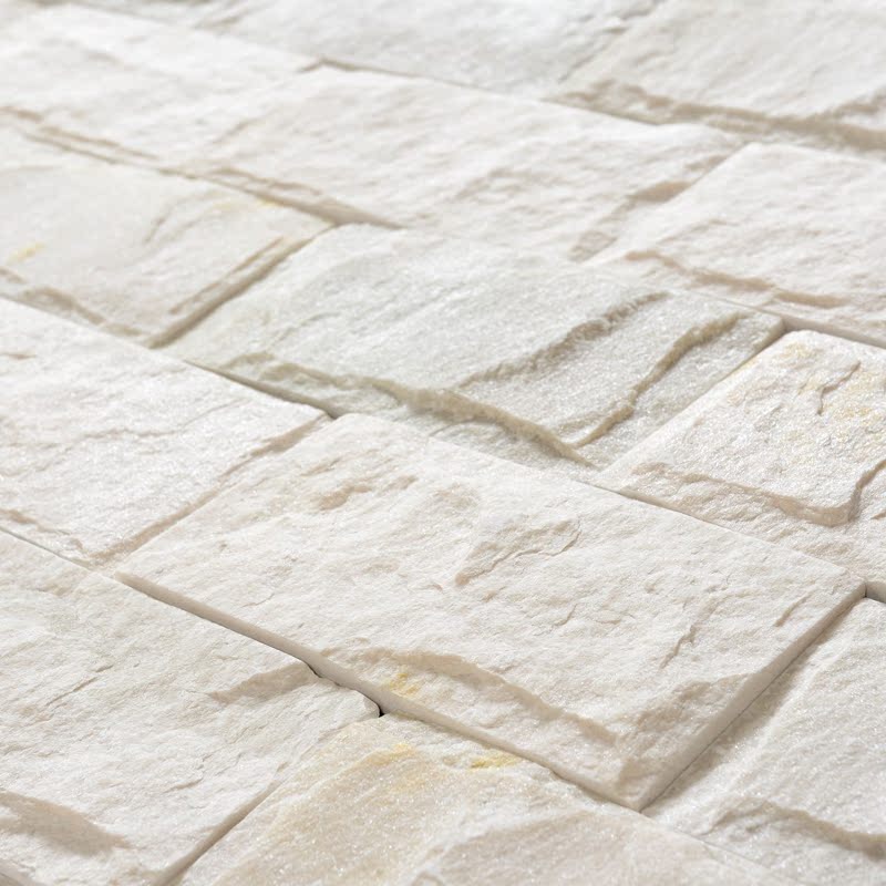 ��;��ʽǽשw1001